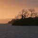 94- La nature se reveille doucement 